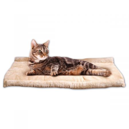 cat mat bed